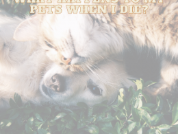 WHAT HAPPENS TO MY PETS WHEN I DIE