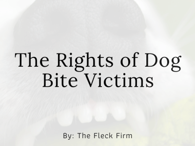 Rights of Dog Bite Victims