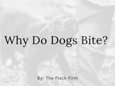 Why Do Dogs Bite